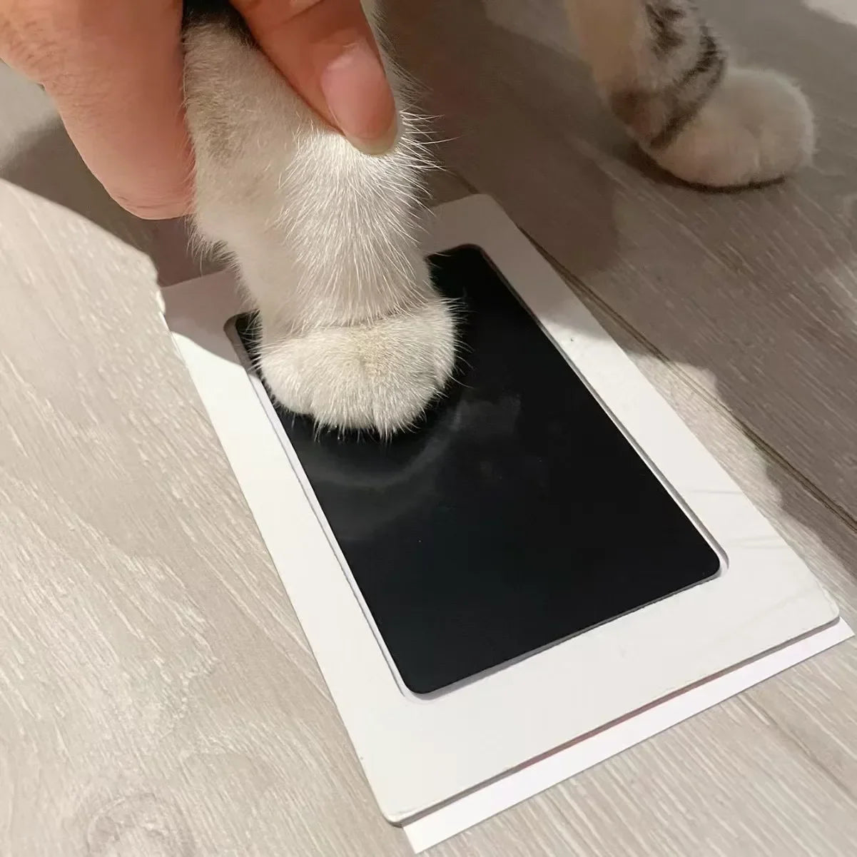 Inkless Baby & Pet Hand Foot Print Kit